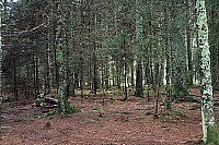 100_1309.jpg