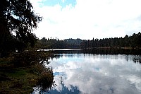 100_1313.jpg