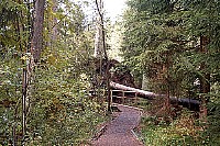100_1314.jpg