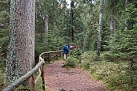 100_1317.jpg