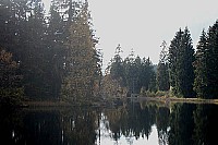 100_1321.jpg