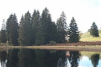 100_1322.jpg