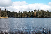 100_1330.jpg