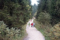 100_1341.jpg