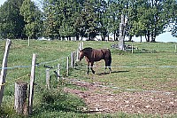 100_1342.jpg