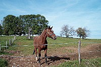 100_1343.jpg
