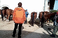 100_1345.jpg