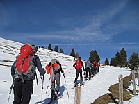 img_1554.jpg