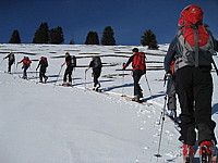 img_1558.jpg