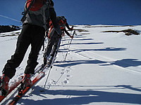 img_1559.jpg
