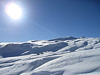 img_1623.jpg