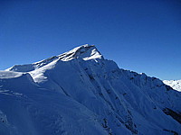 img_1731.jpg