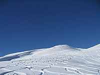 img_1763.jpg