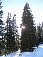 img_1774.jpg
