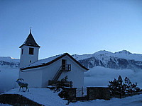 img_1784.jpg