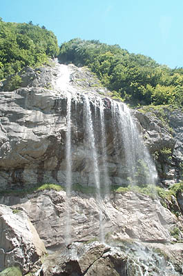 100_0442.jpg
