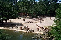dcp_5172.jpg