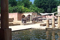 dcp_5179.jpg