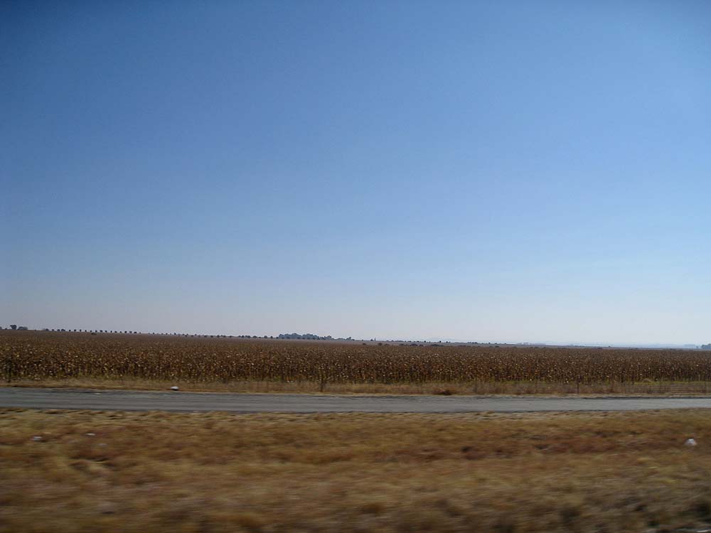 img_0865.jpg
