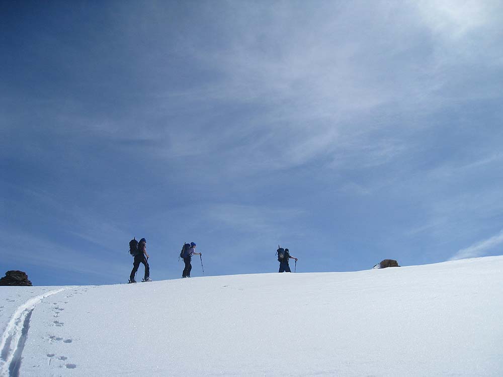 img_2740.jpg
