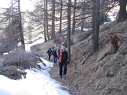 img_2462.jpg