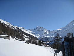 img_2466.jpg