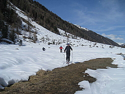 img_2750.jpg