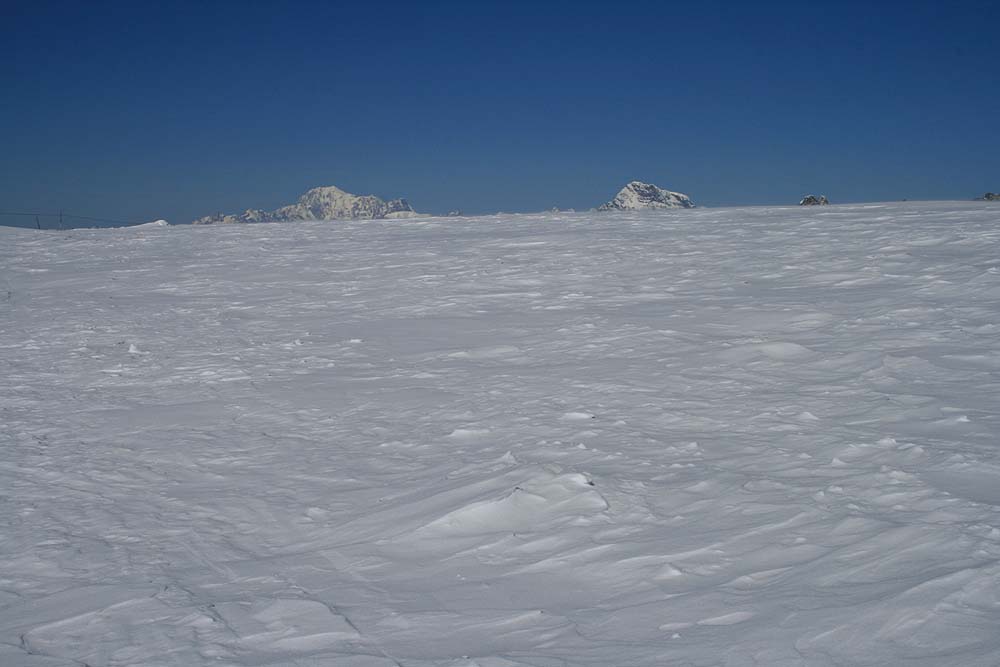 winter_fruehling_2011070.jpg
