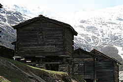 winter_fruehling_2011046.jpg