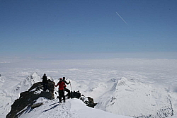 winter_fruehling_2011061.jpg
