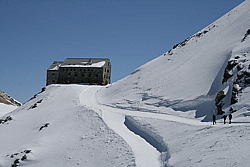 winter_fruehling_2011066.jpg