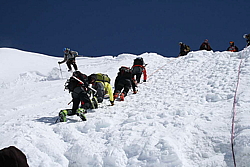 winter_fruehling_2011076.jpg