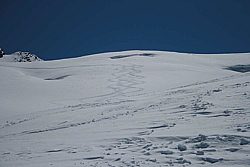 winter_fruehling_2011120.jpg