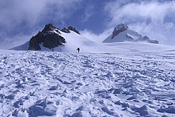 winter_fruehling_2011147.jpg