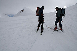 winter_fruehling_2011163.jpg