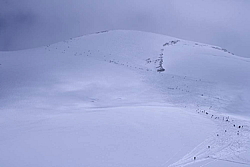 winter_fruehling_2011201.jpg